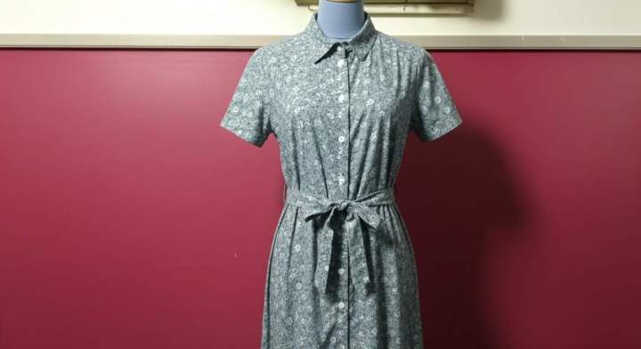 La robe chemise